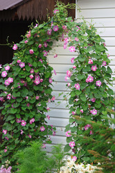 Similar image 21750721