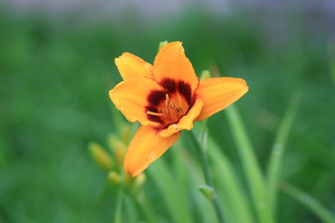 Similar image 21750722