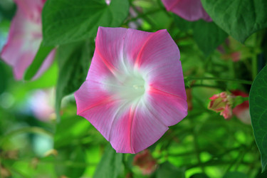 Similar image 21750987