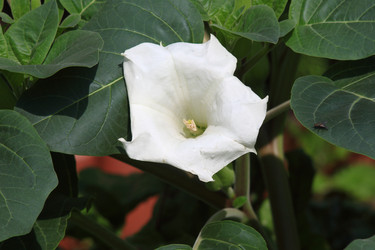 Similar image 21750988