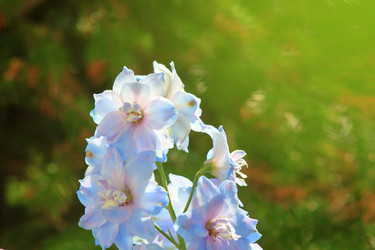 Similar image 21750989