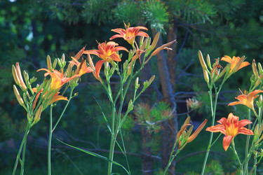 Similar image 21750990