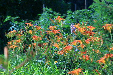 Similar image 21750991