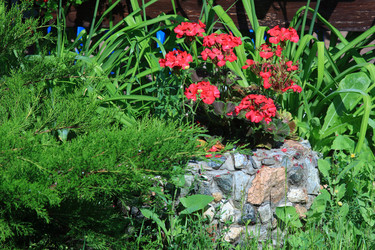 Similar image 21750992