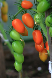 Similar image 21750994