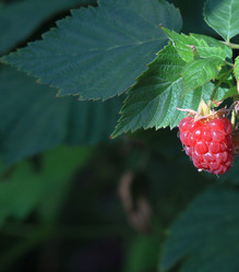 Similar image 21750995