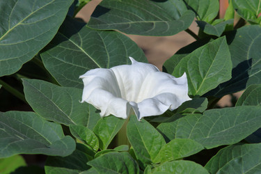 Similar image 21750997