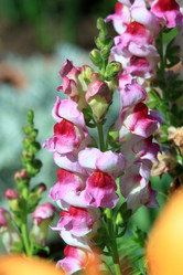 Similar image 21750998