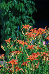 Similar image 21750999