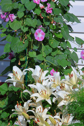 Similar image 21751000