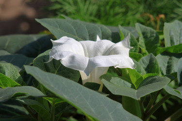 Similar image 21751002