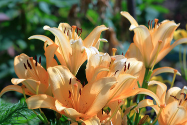 Similar image 21751003