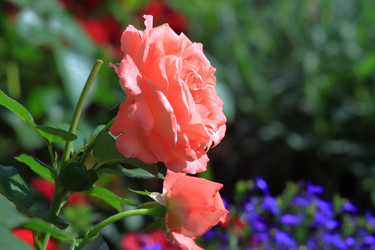 Similar image 21751004