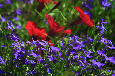Similar image 21751007