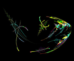 Similar image 21750736