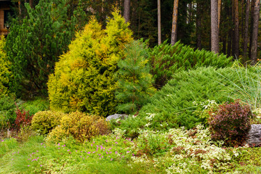 Similar image 21753271