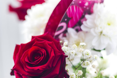 Similar image 21750772