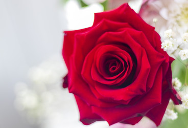 Similar image 21750774