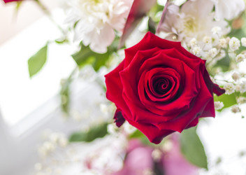 Similar image 21750775