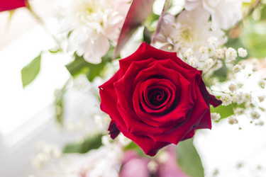 Similar image 21750776