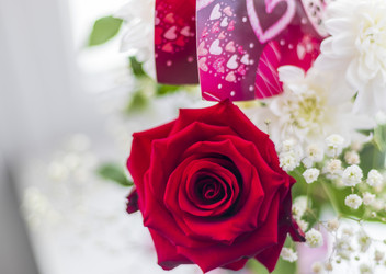 Similar image 21750777