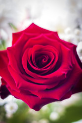 Similar image 21750780