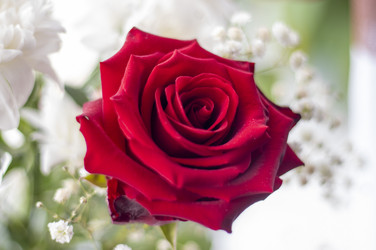 Similar image 21750781