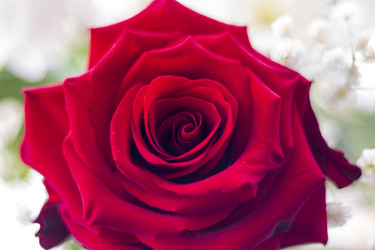 Similar image 21750782