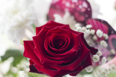 Similar image 21750783