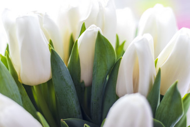 Similar image 21750785