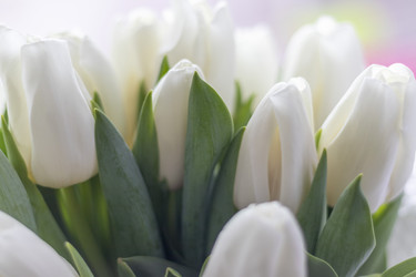 Similar image 21750786