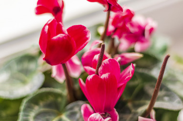 Similar image 21750797