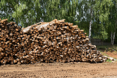 Similar image 21753283