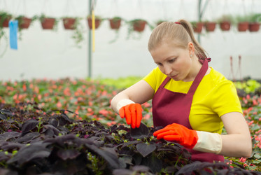 Similar image 21756706