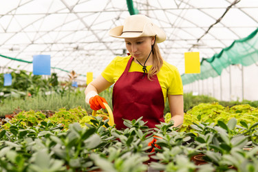 Similar image 21756707