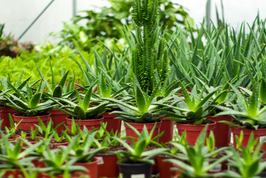 Similar image 21753692