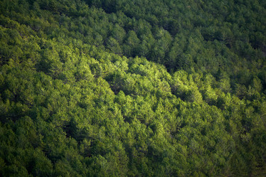 Similar image 21753696