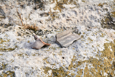 Similar image 21753915