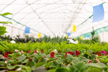 Similar image 21753919