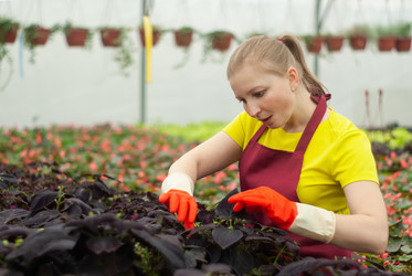 Similar image 21756930