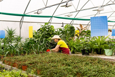 Similar image 21756933