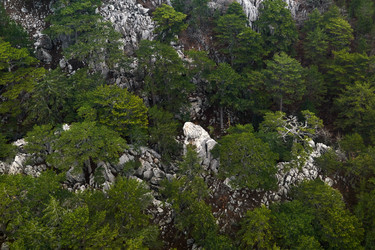 Similar image 21755123