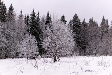 Similar image 21755577