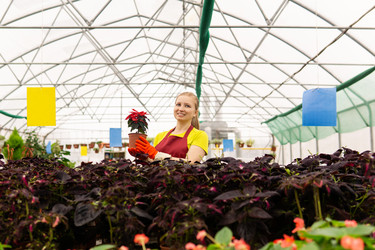 Similar image 21757223