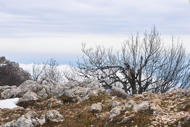 Similar image 21752516