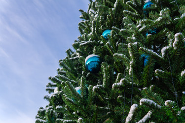 Similar image 21752517