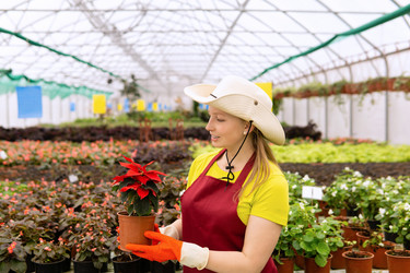 Similar image 21755318