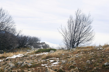 Similar image 21753285