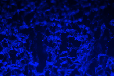 Similar image 21753290