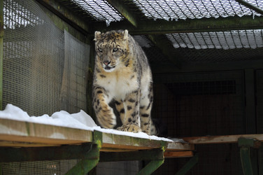 Similar image 21751690